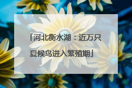 河北衡水湖：近万只夏候鸟进入繁殖期