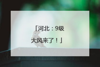 河北：9级大风来了！