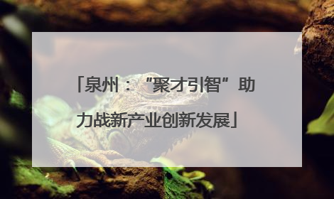 泉州：“聚才引智”助力战新产业创新发展