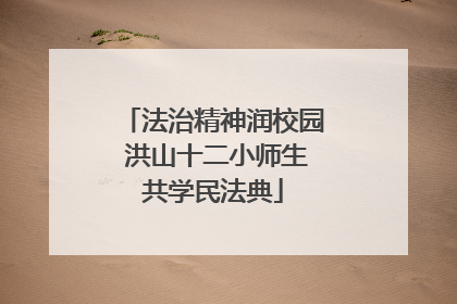 法治精神润校园 洪山十二小师生共学民法典