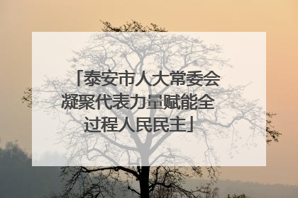 泰安市人大常委会凝聚代表力量赋能全过程人民民主