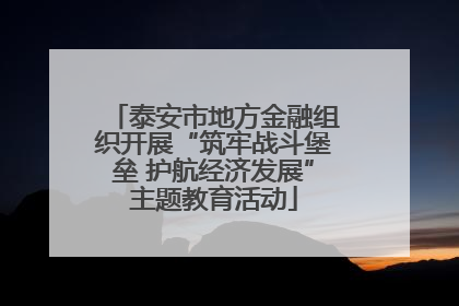 泰安市地方金融组织开展“筑牢战斗堡垒 护航经济发展”主题教育活动