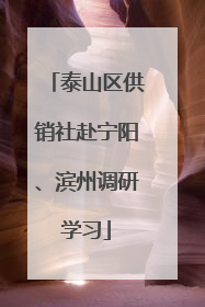 泰山区供销社赴宁阳、滨州调研学习