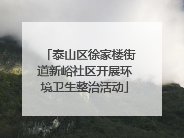 泰山区徐家楼街道新峪社区开展环境卫生整治活动
