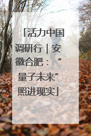 活力中国调研行｜安徽合肥：“量子未来”照进现实