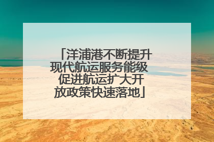 洋浦港不断提升现代航运服务能级 促进航运扩大开放政策快速落地