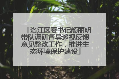 洛江区委书记颜丽明带队调研督导巡视反馈意见整改工作，推进生态环境保护建设