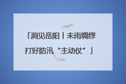 洞见岳阳丨未雨绸缪 打好防汛“主动仗”