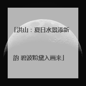 洪山：夏日水景添新韵 碧波粉黛入画来