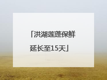 洪湖莲蓬保鲜延长至15天