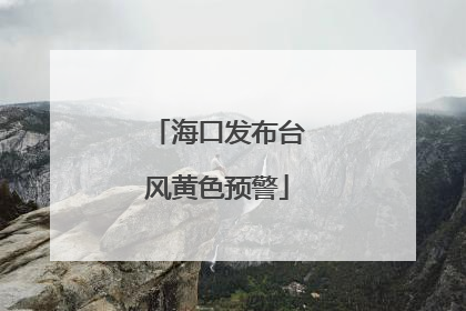 海口发布台风黄色预警