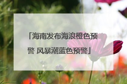 海南发布海浪橙色预警 风暴潮蓝色预警