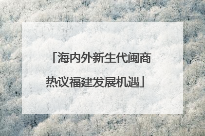 海内外新生代闽商热议福建发展机遇