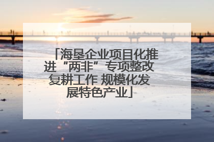 海垦企业项目化推进“两非”专项整改复耕工作 规模化发展特色产业