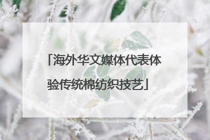 海外华文媒体代表体验传统棉纺织技艺
