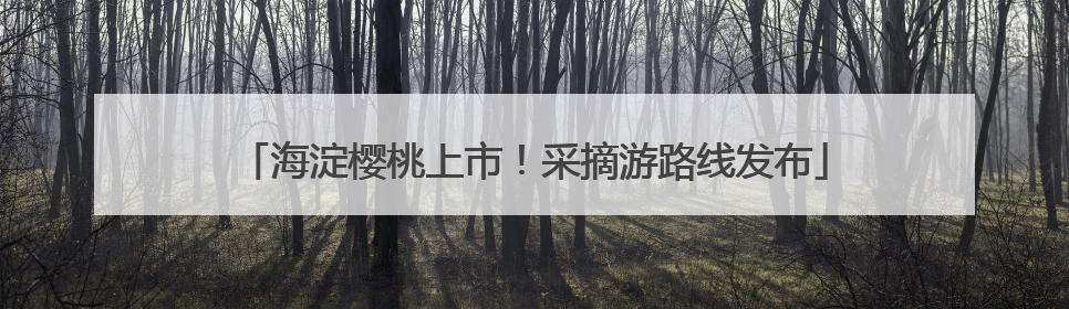 海淀樱桃上市！采摘游路线发布