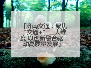 济南交通：聚焦“交通+”三大维度 以创新融合驱动高质量发展