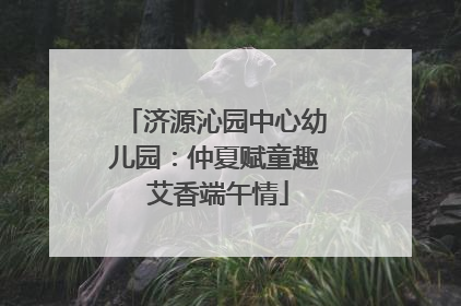 济源沁园中心幼儿园：仲夏赋童趣 艾香端午情