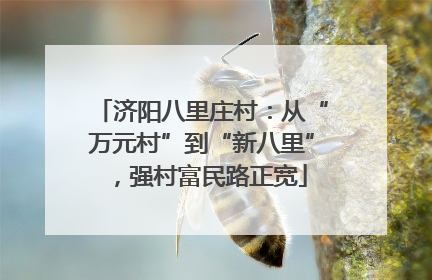 济阳八里庄村：从“万元村”到“新八里”，强村富民路正宽