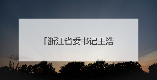 浙江省委书记王浩：对顶风违纪行为从严从重从快处理