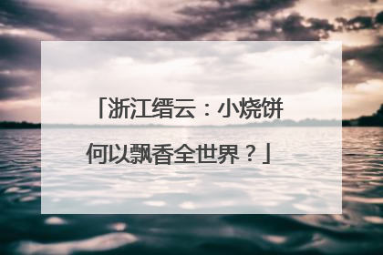 浙江缙云：小烧饼何以飘香全世界？