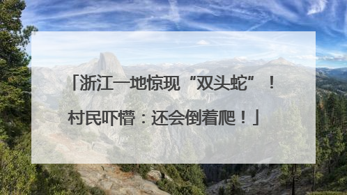 浙江一地惊现“双头蛇”！村民吓懵：还会倒着爬！