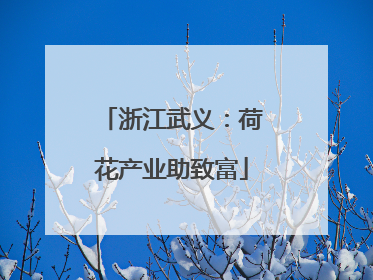 浙江武义：荷花产业助致富