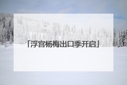 浮宫杨梅出口季开启