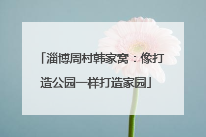 淄博周村韩家窝：像打造公园一样打造家园