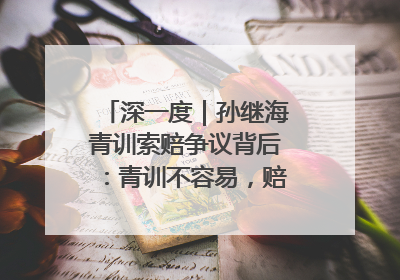 深一度｜孙继海青训索赔争议背后：青训不容易，赔偿可仲裁