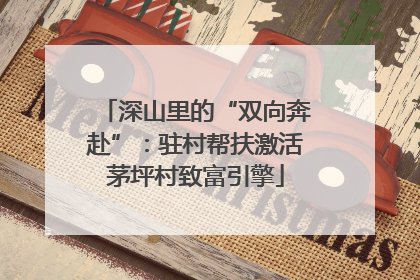 深山里的“双向奔赴”：驻村帮扶激活茅坪村致富引擎