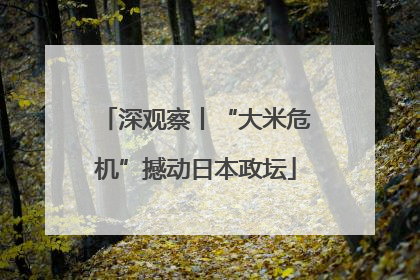深观察丨“大米危机”撼动日本政坛