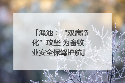 渑池：“双病净化”攻坚 为畜牧业安全保驾护航