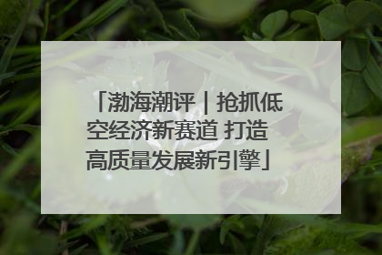 渤海潮评｜抢抓低空经济新赛道 打造高质量发展新引擎
