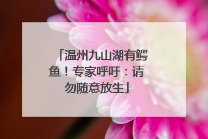 温州九山湖有鳄鱼！专家呼吁：请勿随意放生