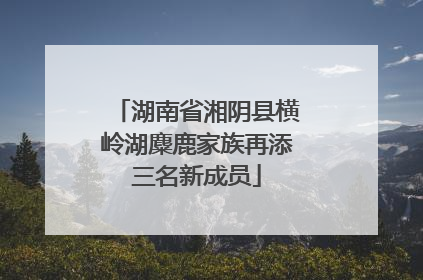 湖南省湘阴县横岭湖麋鹿家族再添三名新成员