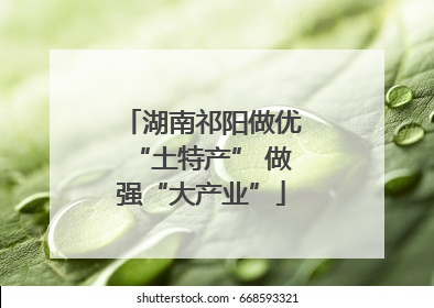 湖南祁阳做优“土特产” 做强“大产业”