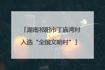 湖南祁阳市丁庙湾村入选“全国文明村”