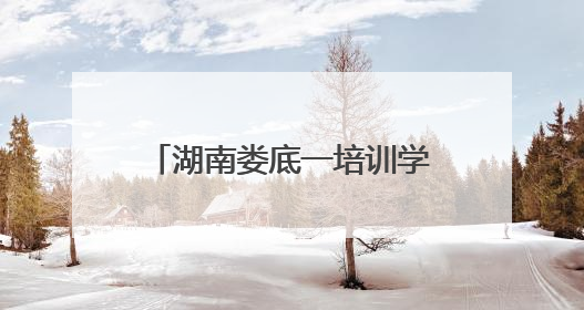 湖南娄底一培训学校老板被立案追责