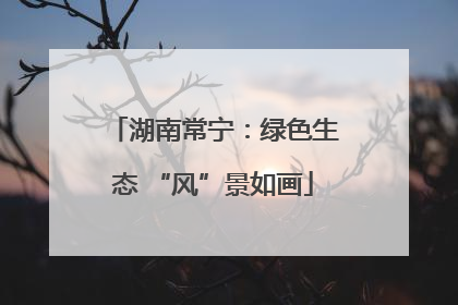 湖南常宁：绿色生态 “风”景如画