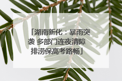 湖南新化：暴雨突袭 多部门连夜清障排涝保高考路畅