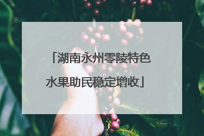 湖南永州零陵特色水果助民稳定增收