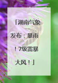 湖南气象发布：暴雨！7级雷暴大风！