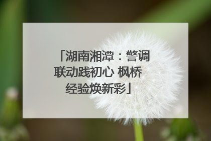 湖南湘潭：警调联动践初心 枫桥经验焕新彩