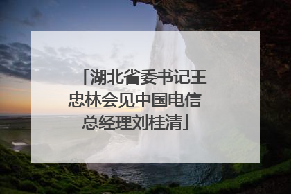 湖北省委书记王忠林会见中国电信总经理刘桂清