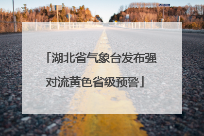 湖北省气象台发布强对流黄色省级预警