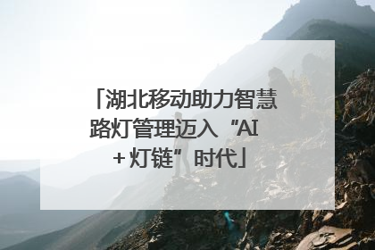 湖北移动助力智慧路灯管理迈入“AI＋灯链”时代