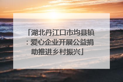 湖北丹江口市均县镇：爱心企业开展公益捐助推进乡村振兴