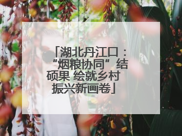 湖北丹江口：“烟粮协同”结硕果 绘就乡村振兴新画卷