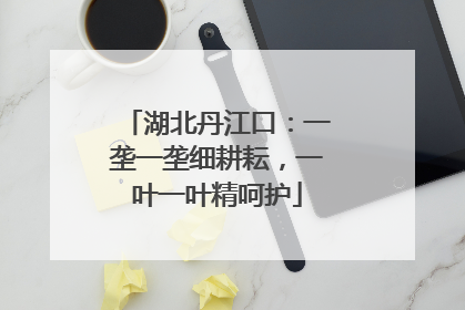 湖北丹江口：一垄一垄细耕耘，一叶一叶精呵护